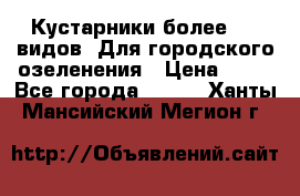 Кустарники более 100 видов. Для городского озеленения › Цена ­ 70 - Все города  »    . Ханты-Мансийский,Мегион г.